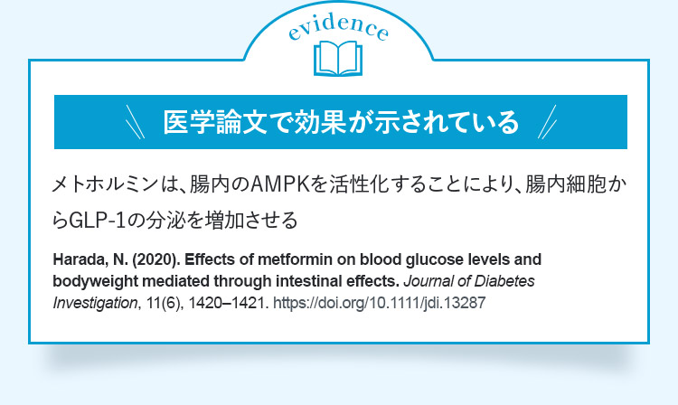 evidence 医学論文で効果が示されているメトホルミンは、腸内のAMPKを活性化することにより、腸内細胞からGLPー1の分泌を増加させる Harada,N.（2020）.Effectsofmetforminonbloodglucoselevelsandbodyweightmediatedthroughintestinaleffects.JournalofDiabetesInvestigation,11（6）,1420ー1421.https://doi.org/10.1111/jdi.13287