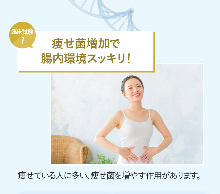 臨床試験1 痩せ菌増加で腸内環境スッキリ！ 痩せている人に多い、痩せ菌を増やす作用があります。