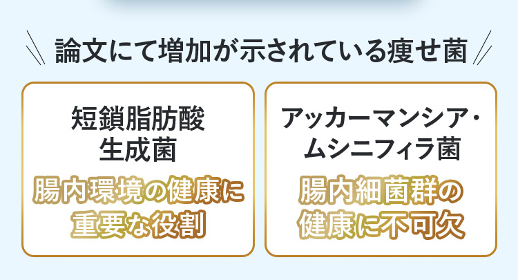 論文にて増加が示されている痩せ菌 短鎖脂肪酸生成菌 腸内環境の健康に重要な役割 アッカーマンシア・ムシニフィラ菌 腸内細菌群の健康三不可欠