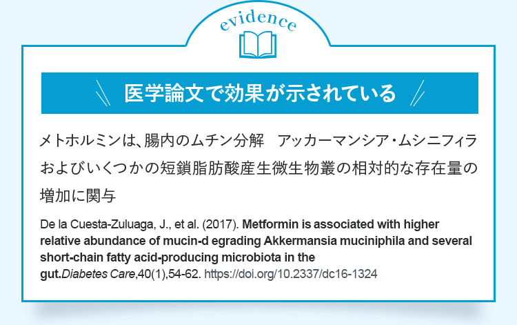 evidence 医学論文で効果が示されている メトホルミンは、腸内のムチン分解アッカーマンシア・ムシニフィラおよびいくつかの短鎖脂肪酸産生微生物叢の相対的な存在量の増加に関与 DelaCuestaーZuluaga,J.,etal.（2017）.Metforminisassociatedwithhigherrelativeabundanceo mucinーdegradingAkkermansiamuciniphilaandseveralshortーchainfattyacidーproducingmicrobiotainthegut.Diabetes（are,40（1）,54ー62.https://doi.org/10.2337/dc16ー1324