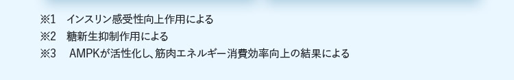 ※1インスリン感受性向上作用による ※2糖新生抑制作用による ※3AMPKが活性化し、筋肉エネルギー消費効率向上の結果による