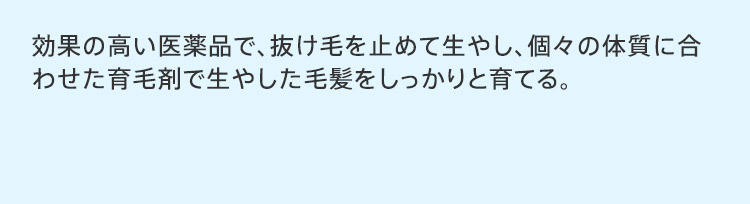 効果の高い医薬品で、抜け毛を止めて生やし、個々の体質に合 わせた育毛剤で生やした毛髪をしっかりと育てる。