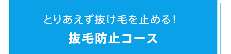 とりあえず抜け毛を止める！抜毛防止コース