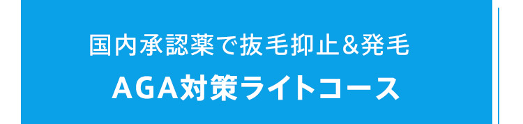 国内承認薬で抜毛抑止&発毛AGA対策ライトコース