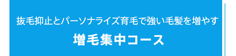 抜毛抑止とパーソナライズ育毛で強い毛髪を増やす増毛集中コース